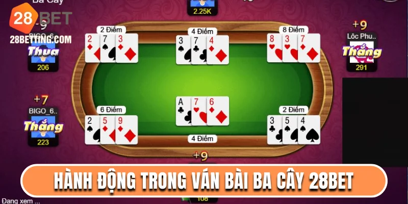 Hành động trong ván bài ba cây 28bet